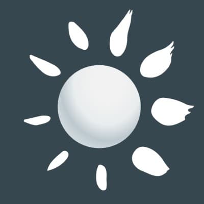 PULSAR INFORMATICS, INC.