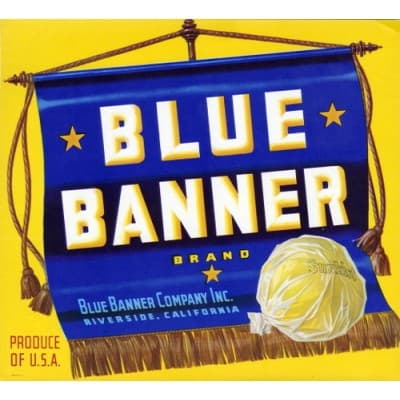 BLUE BANNER COMPANY, INC.