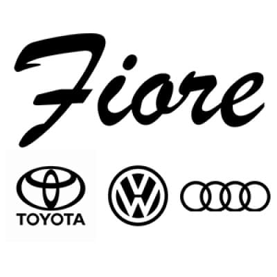 FIORE AUTOMOTIVE GROUP, INC.
