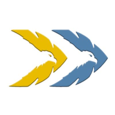 TWIN EAGLE CONSULTING, L.L.C.