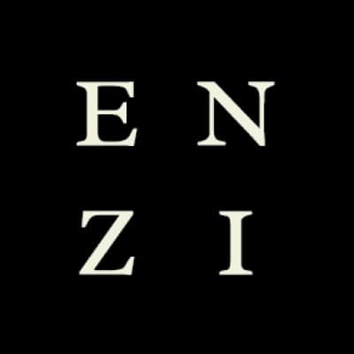 ENZI WEALTH
