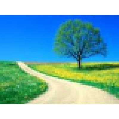 ASSET MANAGEMENT GROUP