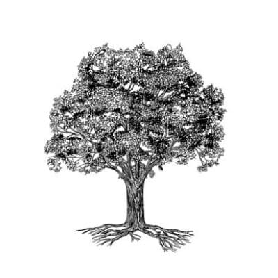 PIN OAK INVESTMENT ADVISORS INC