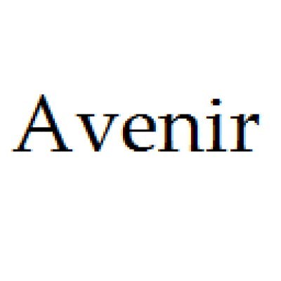 Avenir Corporation