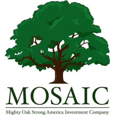 MIGHTY OAK STRONG AMERICA INVESTMENT COMPANY