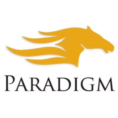 Paradigm, Strategies In Wealth Management, Llc