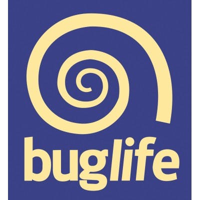 Buglife - Buffalo, NY