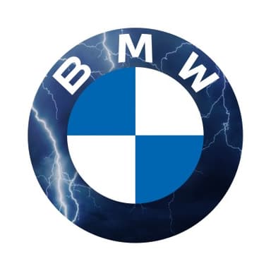 BMW OF NORTH AMERICA, LLC TRAVEL ACCIDENT PLAN
