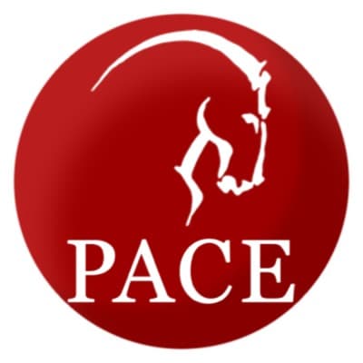 PACE INTERNATIONAL ACADEMY logo image