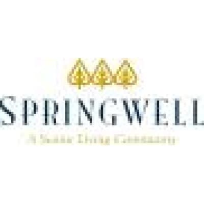 SPRINGWELL, LLC logo image