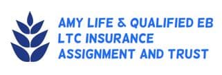 AMY GROUP LIFE AND LTC INSURANCE AGENCY - NY